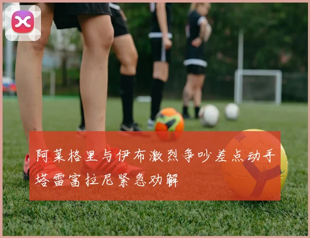 阿莱格里与伊布激烈争吵差点动手塔雷富拉尼紧急劝解