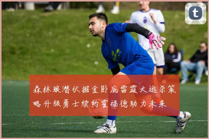 森林狼潜伏掘金卧底雷霆大逃杀策略升级勇士续约霍福德助力未来